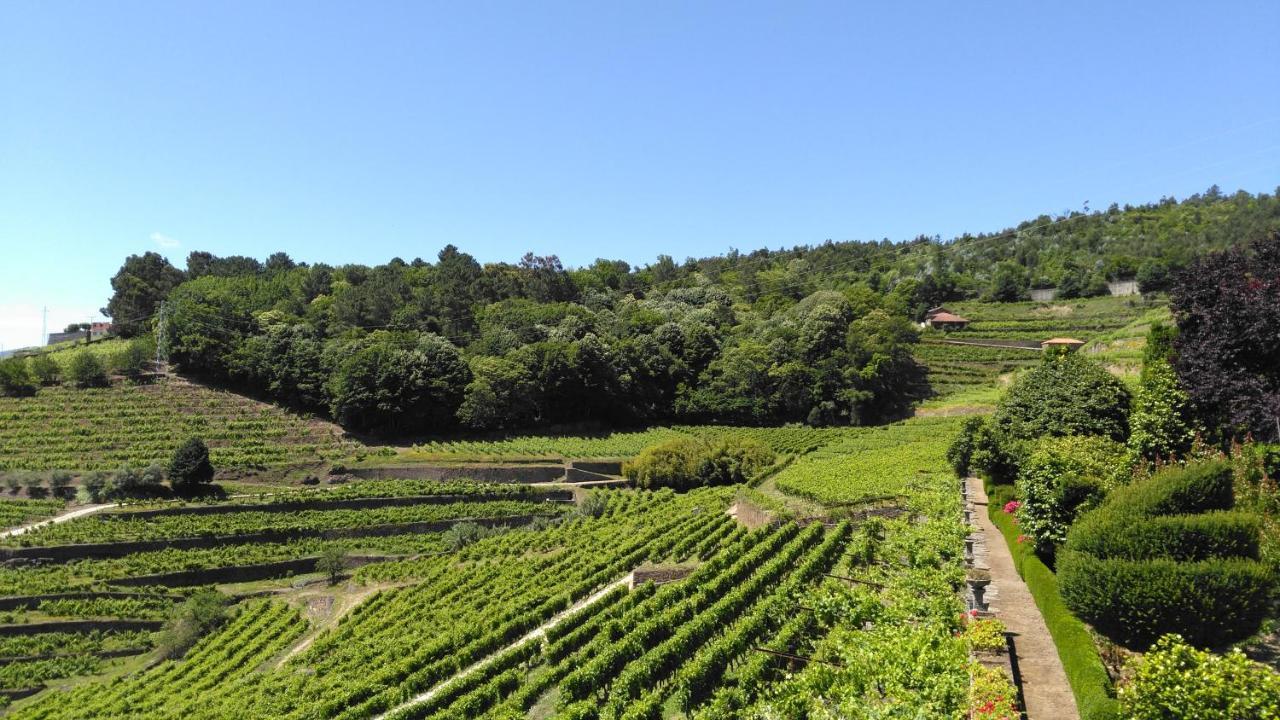 Quinta De Santa Julia Villa Peso da Régua Dış mekan fotoğraf