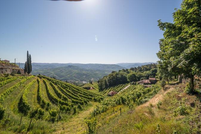 Quinta De Santa Julia Villa Peso da Régua Dış mekan fotoğraf