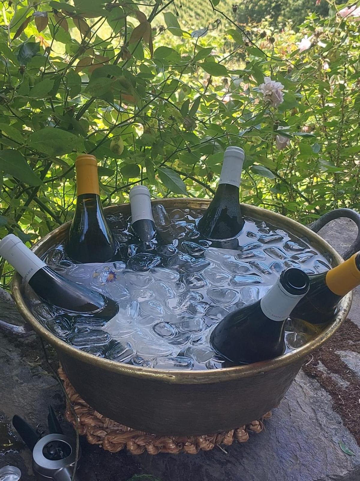 Quinta De Santa Julia Villa Peso da Régua Dış mekan fotoğraf