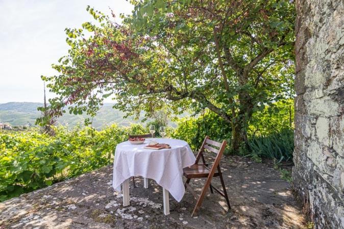 Quinta De Santa Julia Villa Peso da Régua Dış mekan fotoğraf