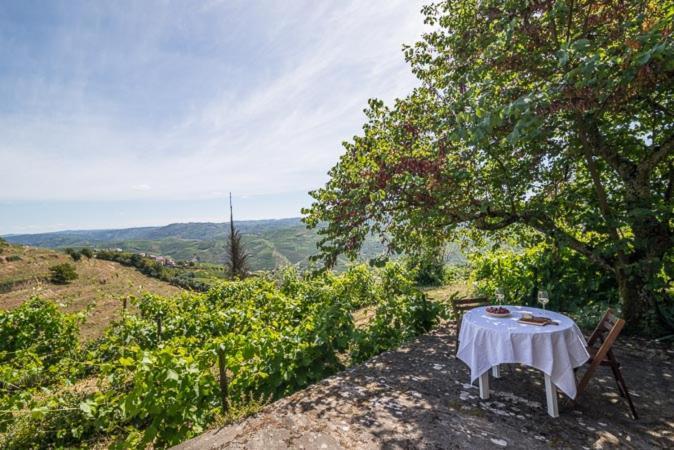 Quinta De Santa Julia Villa Peso da Régua Dış mekan fotoğraf