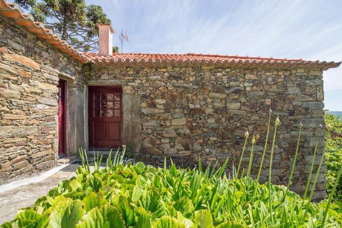 Quinta De Santa Julia Villa Peso da Régua Dış mekan fotoğraf