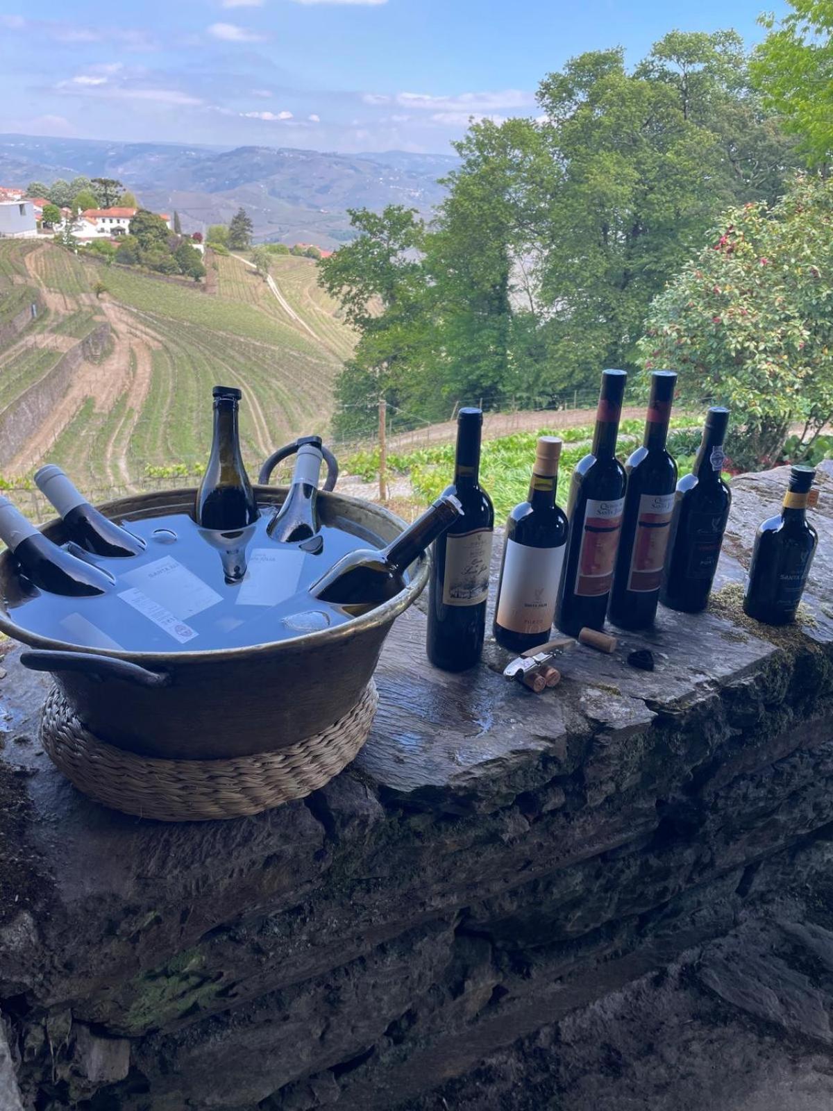 Quinta De Santa Julia Villa Peso da Régua Dış mekan fotoğraf